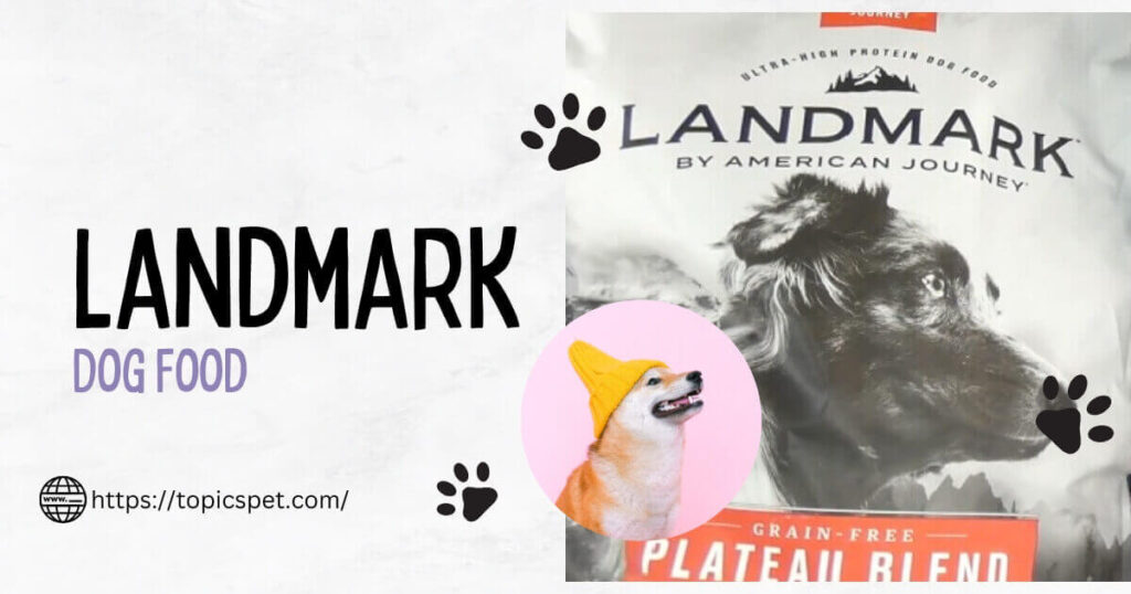 Best Old Yeller Dog Food