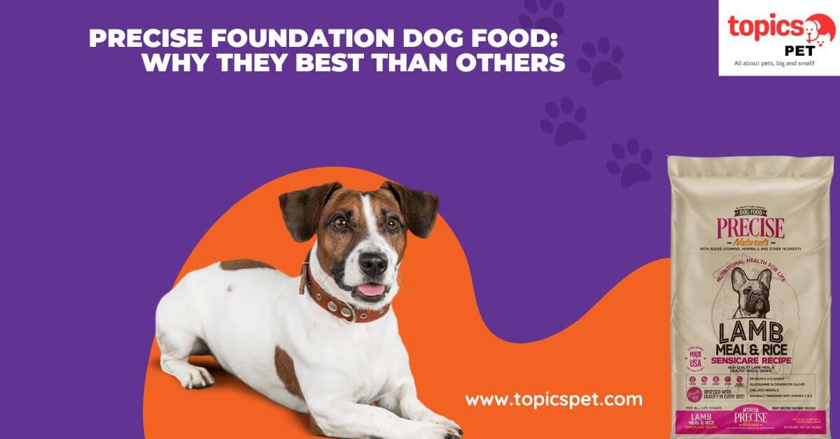 Precise Foundation Dog Food Why They Best Than Others