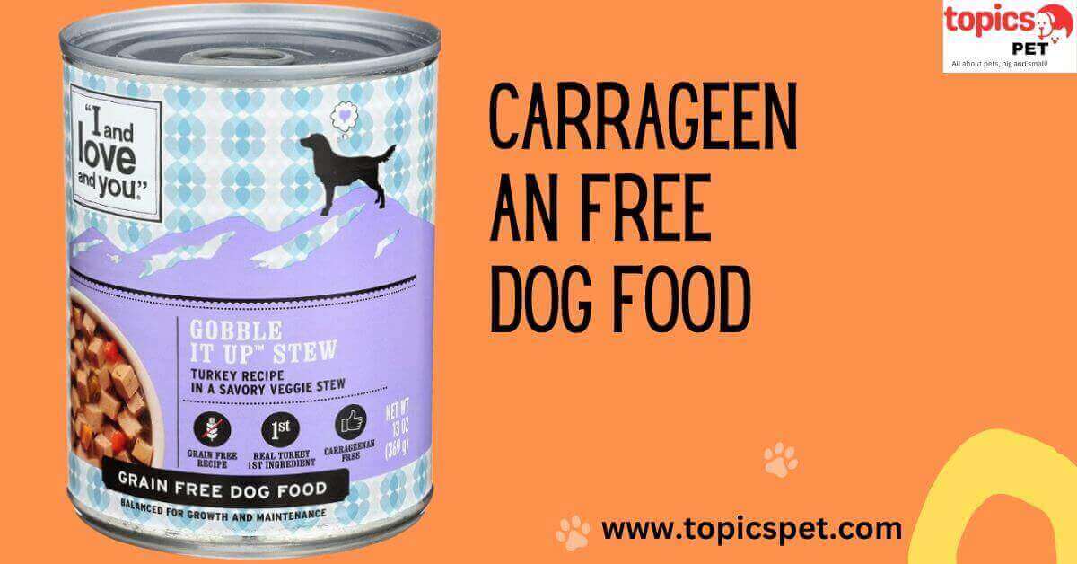 Carrageenan Free Dog Food