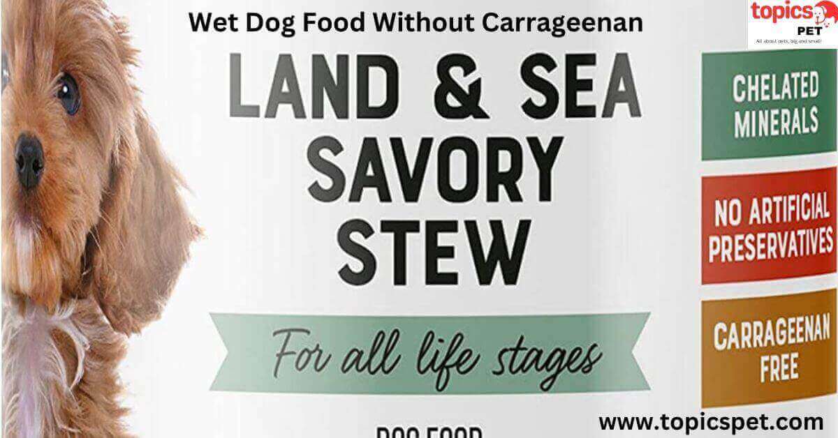 Wet Dog Food Without Carrageenan