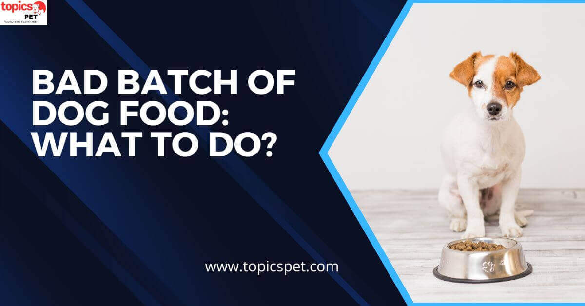 Bad Batch Of Dog Food What To Do?