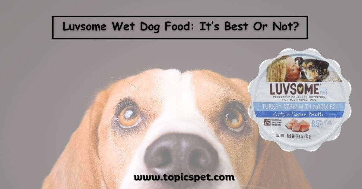 Luvsome Wet Dog Food It’s Best Or Not?