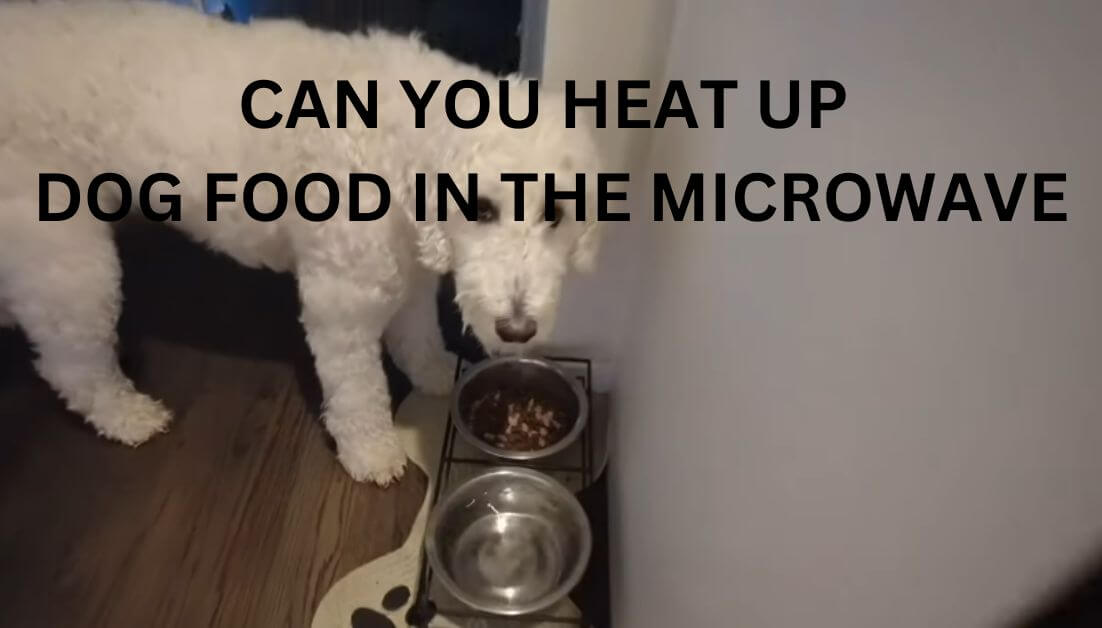 Can You Defrost Dog Food In The Microwave at Toby Anderson blog