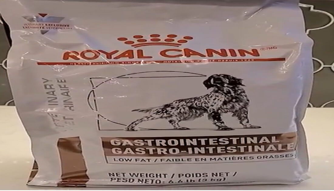 Alternative To Royal Canin Gastrointestinal Dog Food