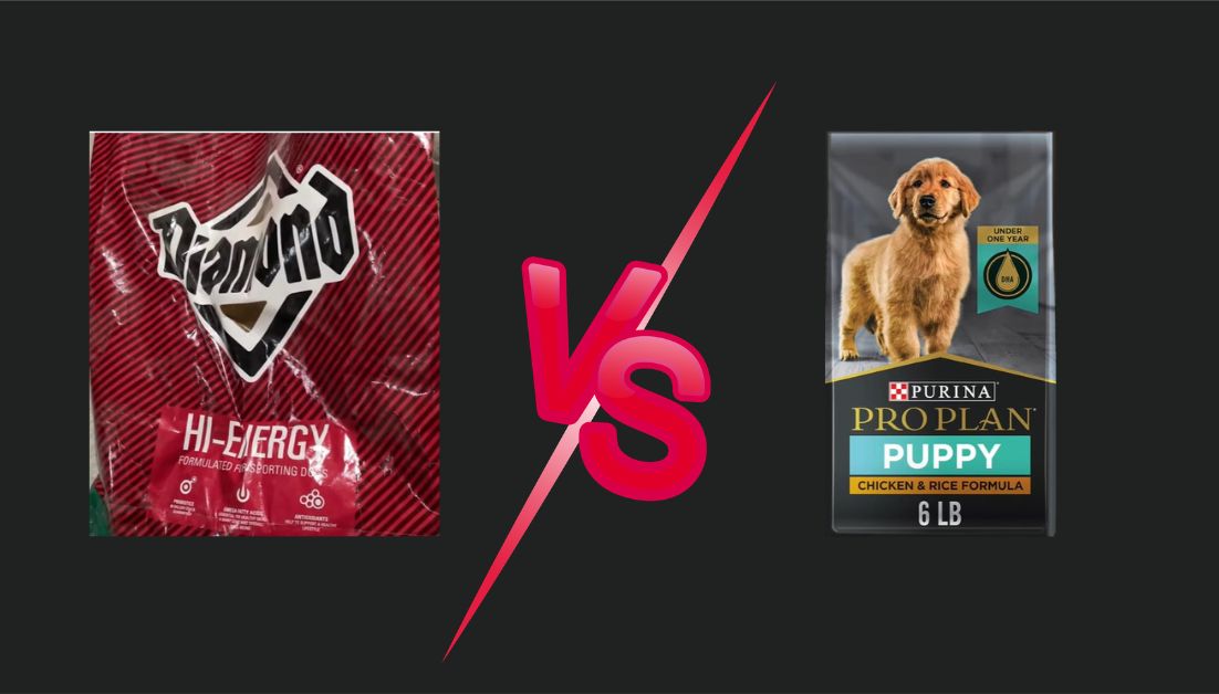 Diamond Dog Food Vs Purina Pro Plan InDepth Nutritional Comparison