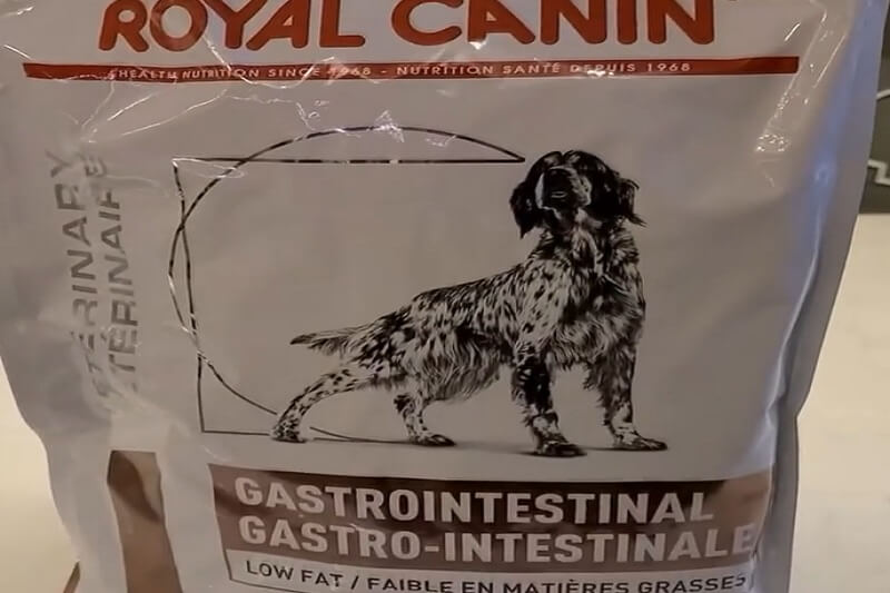 Alternative To Royal Canin Gastrointestinal Dog Food