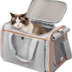 Are Dogs in Carriers Allowed in Stores? Find Out!