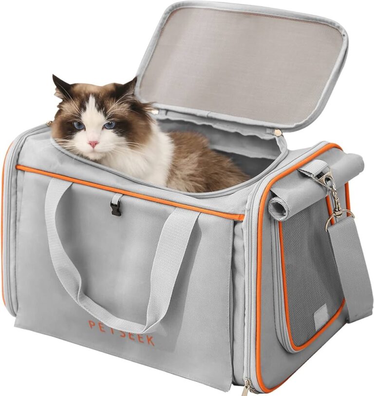Are Dogs Allowed in Stores If They are in a Carrier