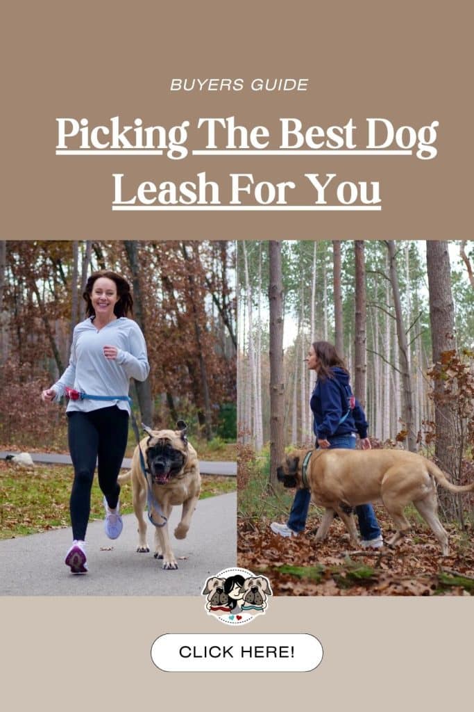 Best Dog Leashes for Hiking