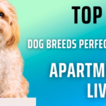 Top 10 Best Small Dog Breeds for Families: A Definitive Guide