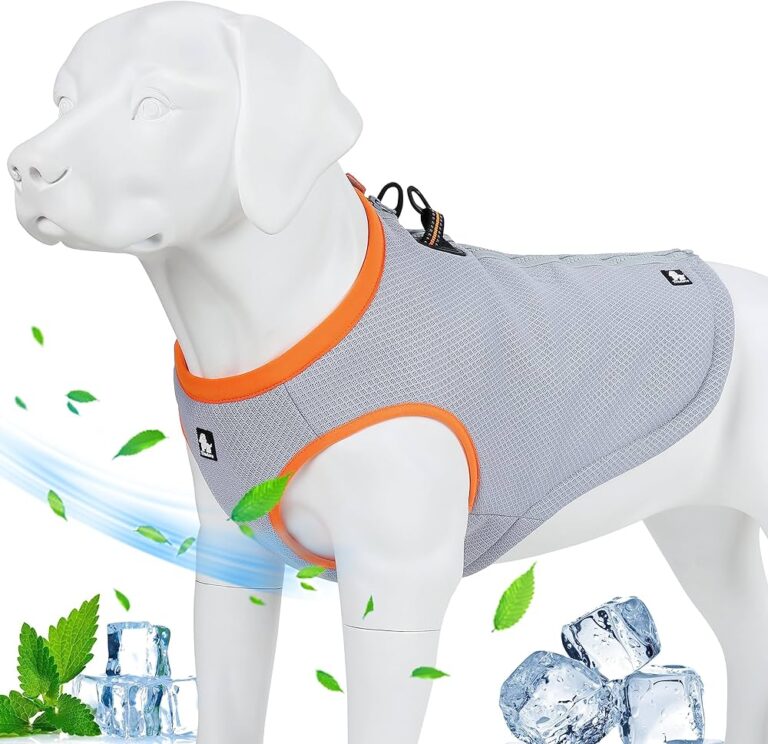 Can a Dog Harness Cause a Collapsed Trachea