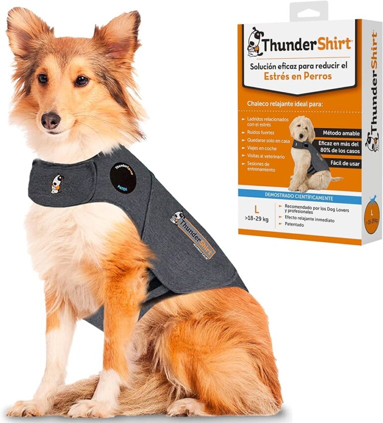 Can a Dog Harness Help With Anxiety