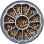 Can You Feed Medium Dog Large Breed Food? All You Should Know