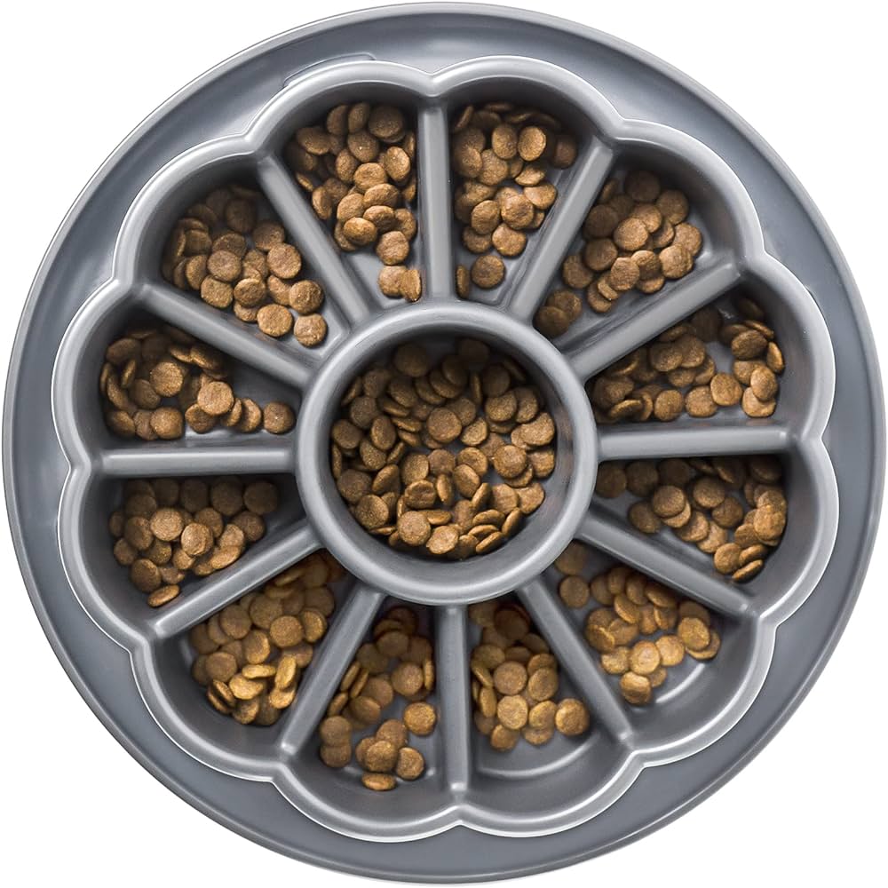 Can You Feed Medium Dog Large Breed Food