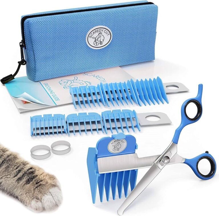 Can You Use Dog Grooming Scissors on Human Hair