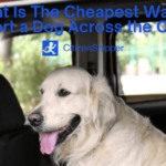 Cheapest Way to Ship a Dog to Another State: Get Your Pup Moving on a Tight Budget.