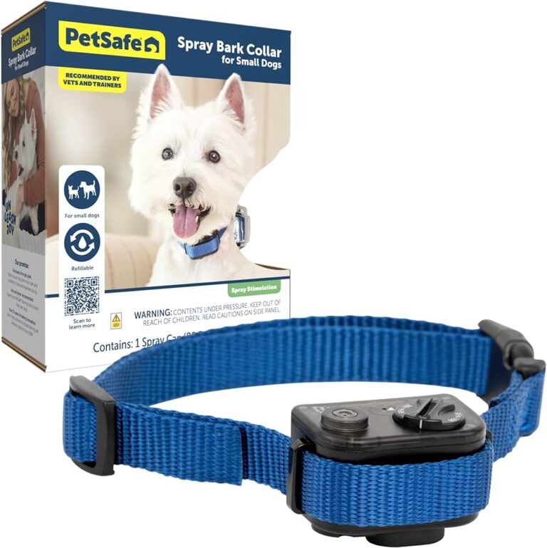 Comparing Small Dog Breeds
