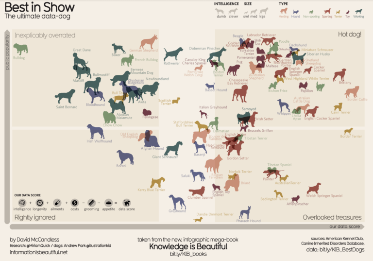 Dog Breed Comparison