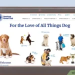 How Do I Identify My Dogs Breed