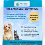 How Much Does Dog Grooming Cost at Pets at Home: Affordable Pricing