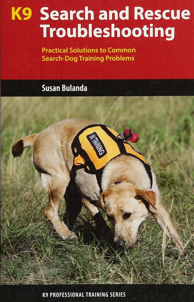 How to Deal With Dog Behavior Problems