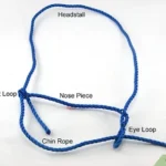 How to Make a Rope Dog Harness: Step-by-Step Guide