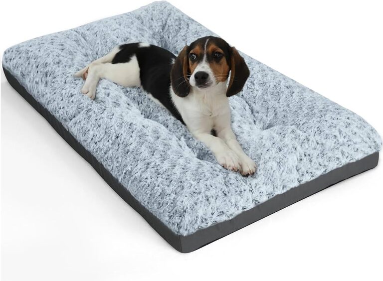 How to Pick the Right Size Dog Kennel