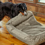 How to Keep Dog Bed Still on Wood Floor: Tips & Tricks