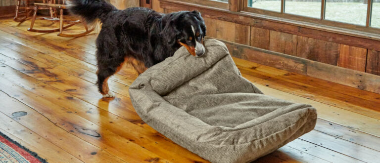 How to Stop Dog Bed from Sliding on Wood Floor