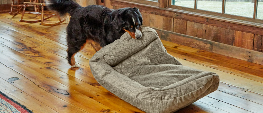 How to Stop Dog Bed from Sliding on Wood Floor
