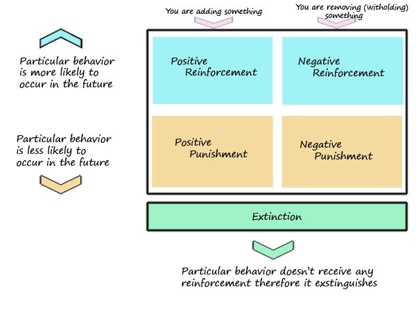 Pros And Cons of Physical Punishment in Dog Training