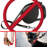 Pros And Cons Retractable Dog Leashes: Is Flexibility Worth the Risk?