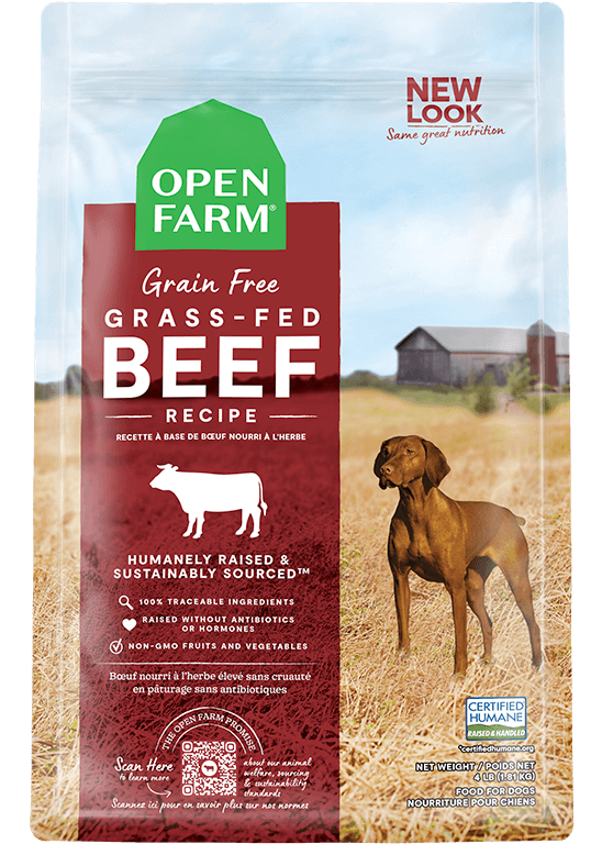 What is the Best Dry Dog Food for Large Breeds