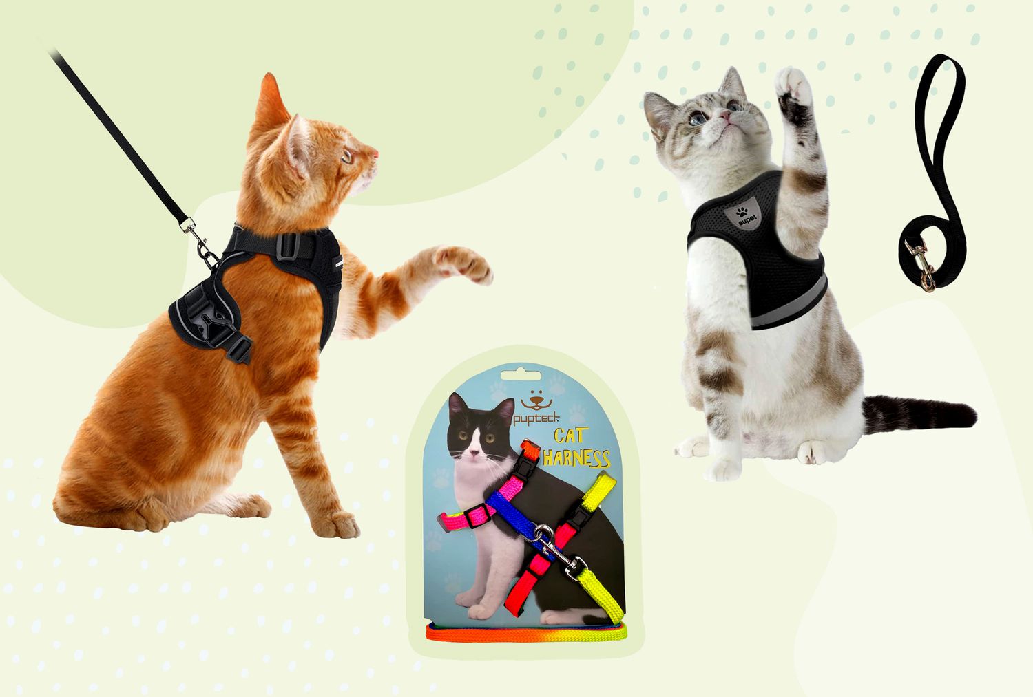 What is the Difference between a Cat Harness And a Dog Harness