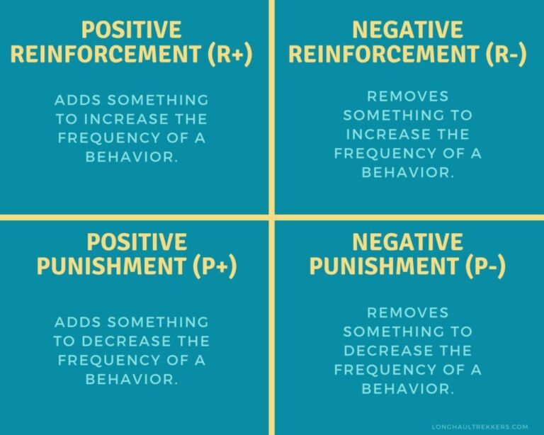 What is the Difference between Force Free And Balanced Dog Training