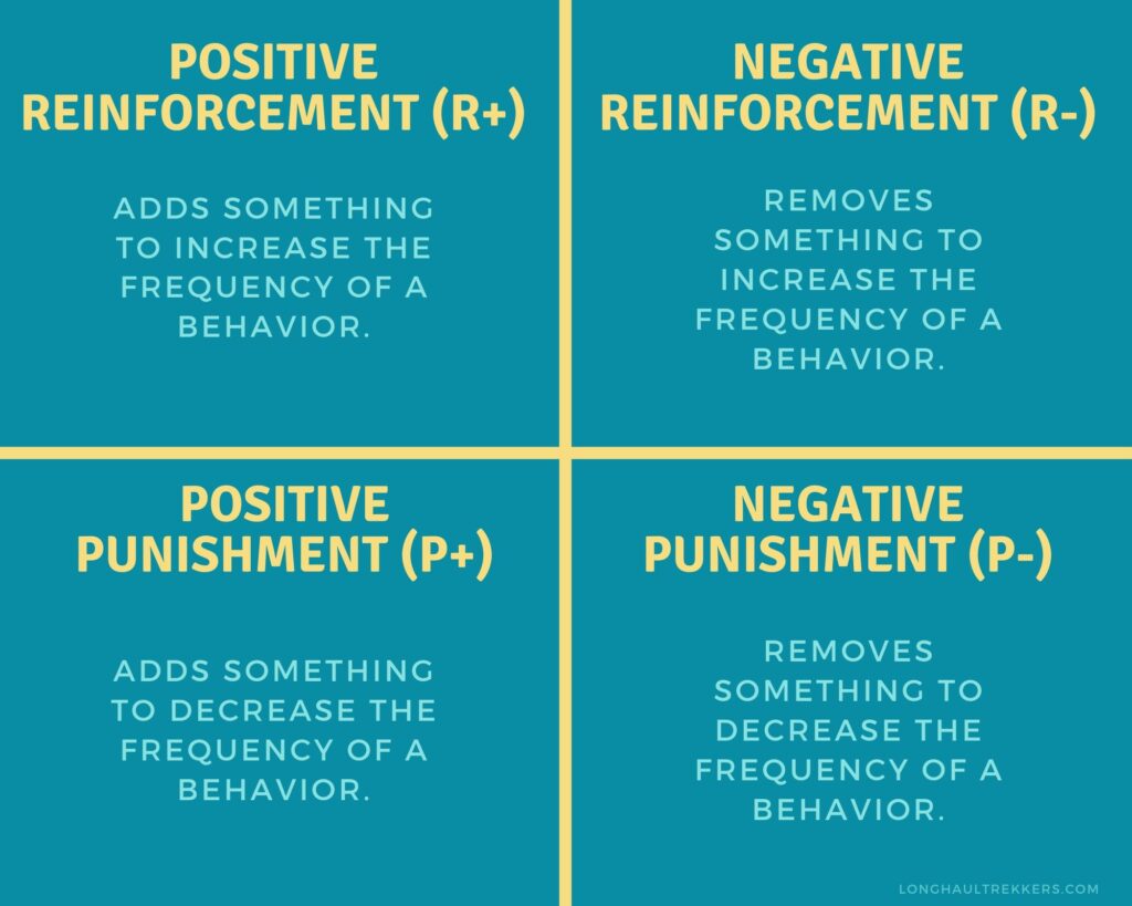 What is the Difference between Force Free And Balanced Dog Training