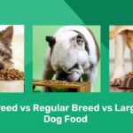 What Is the Difference: Large Breed Dog Food vs Regular