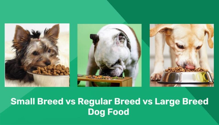 What is the Difference between Large Breed Dog Food And Regular
