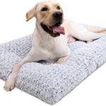 What Types of Breeds Need a Large Dog Bed: Find Out Now