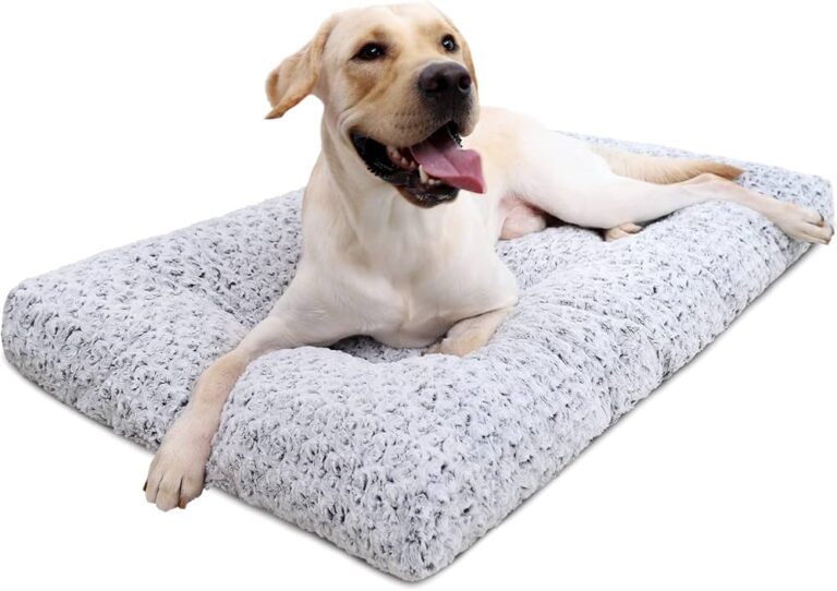 What Types of Breeds Need a Large Dog Bed