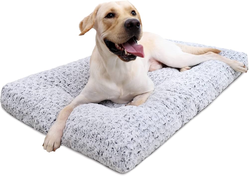 What Types of Breeds Need a Large Dog Bed