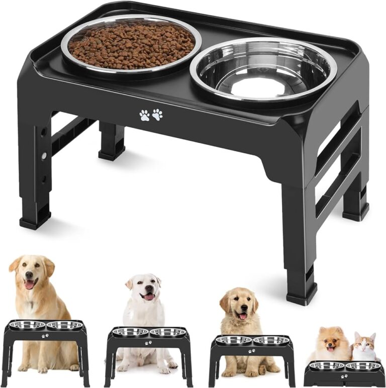 Why Elevated Dog Feeders for Large Breeds